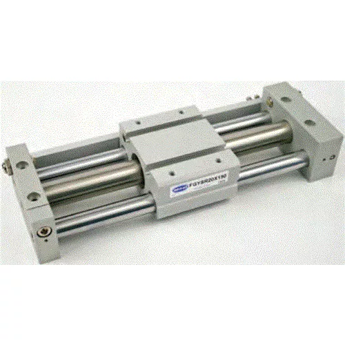 Fabco FGYSR25X500 - Rodless Slide